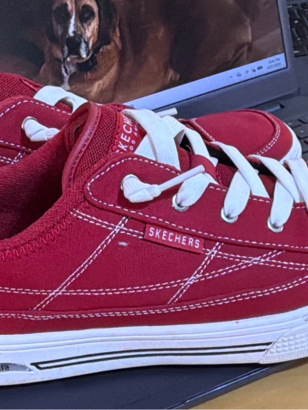 Skechers Women's Red Canvas Low-Top Sneakers with White Laces - Picture 2 of 5